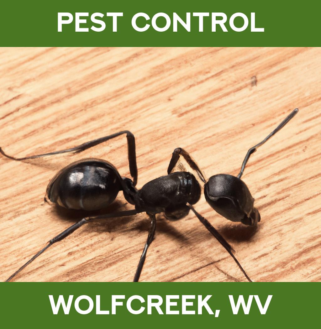 pest control in Wolfcreek West Virginia