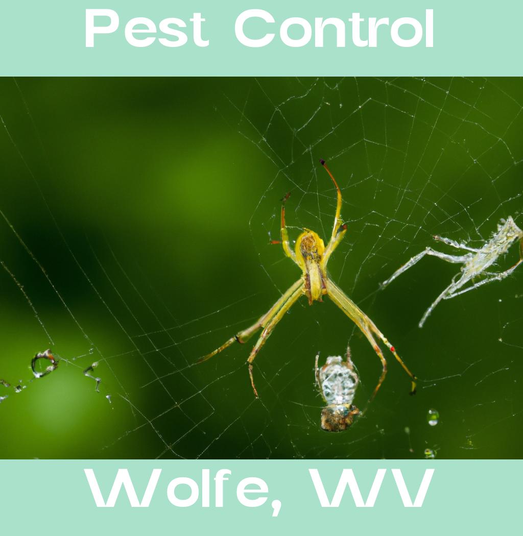pest control in Wolfe West Virginia