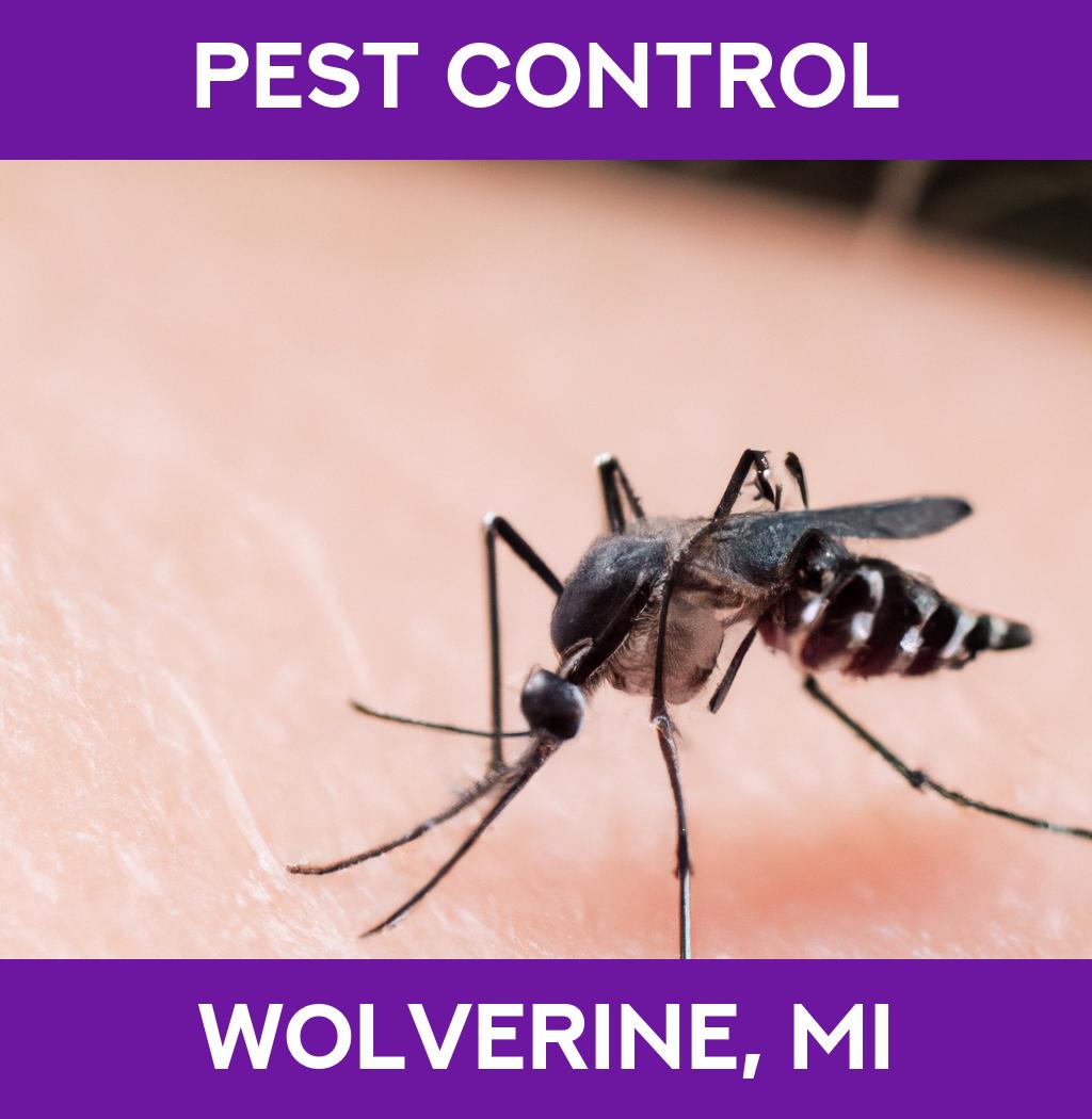 pest control in Wolverine Michigan