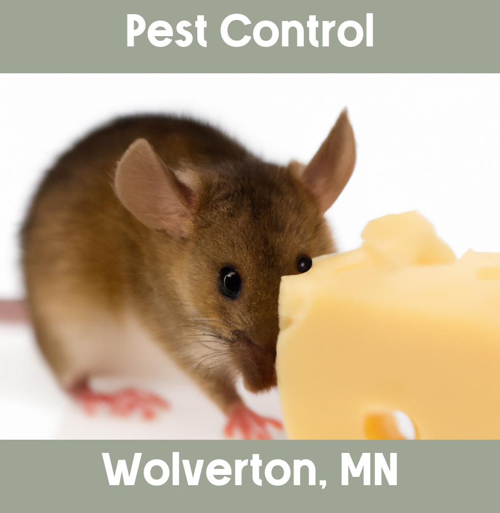 pest control in Wolverton Minnesota