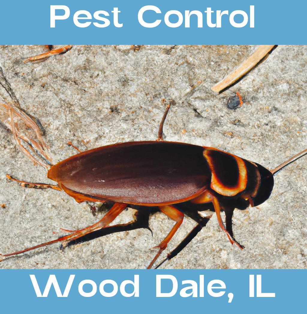 pest control in Wood Dale Illinois