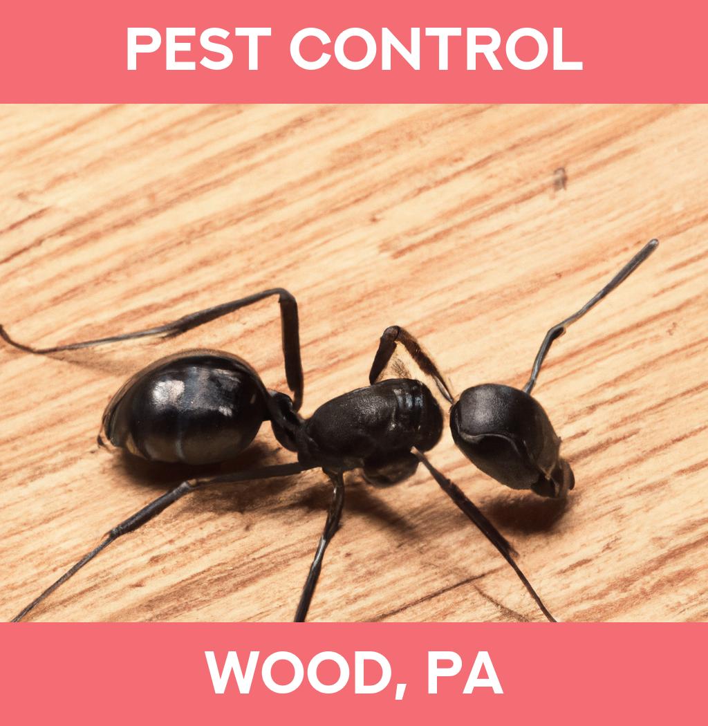 pest control in Wood Pennsylvania
