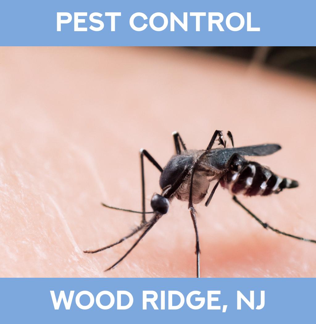 pest control in Wood Ridge New Jersey
