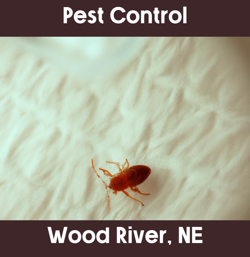 pest control in Wood River Nebraska