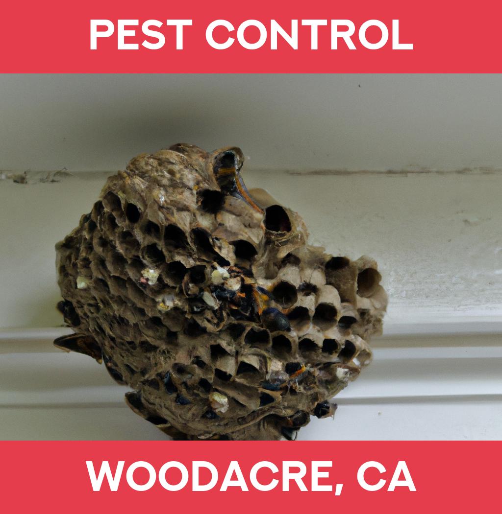 pest control in Woodacre California