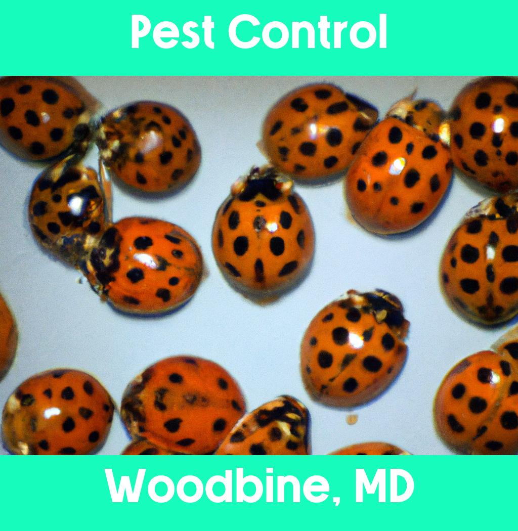 pest control in Woodbine Maryland