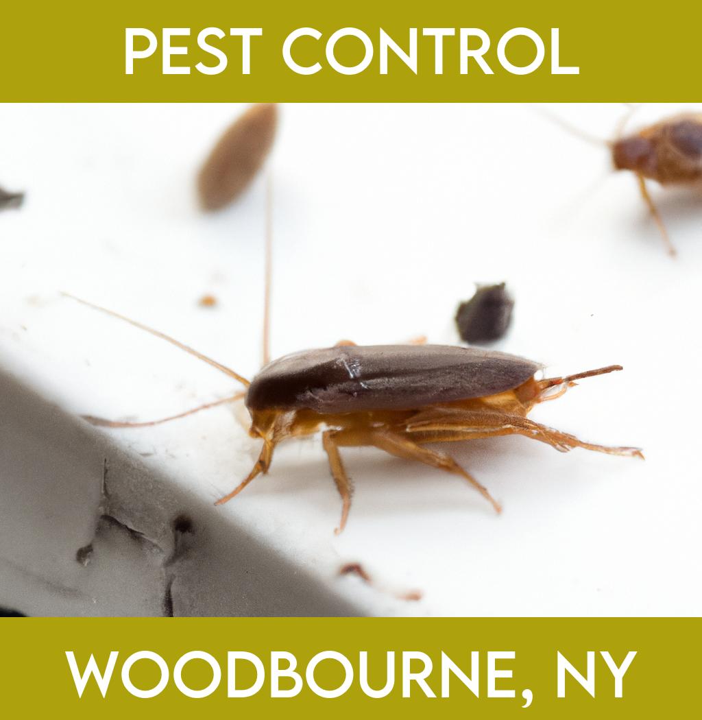 pest control in Woodbourne New York