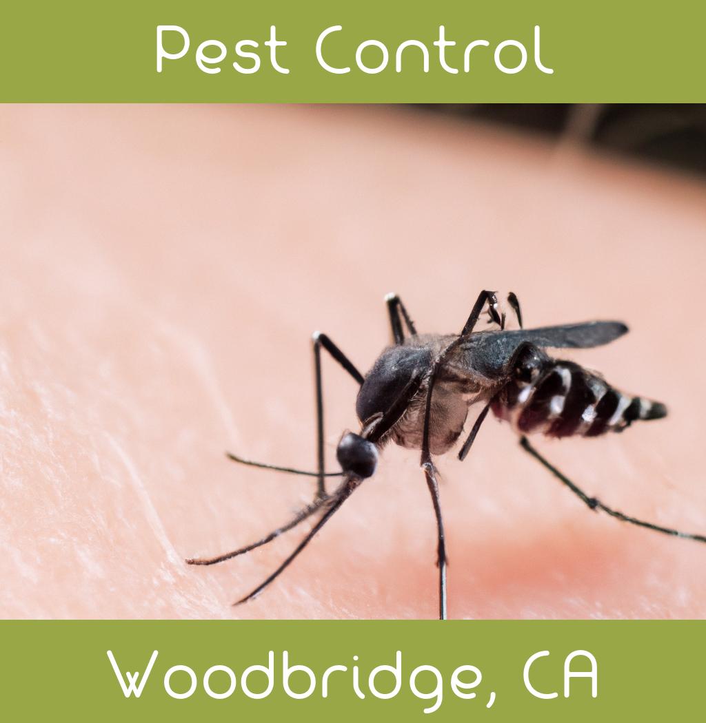 pest control in Woodbridge California