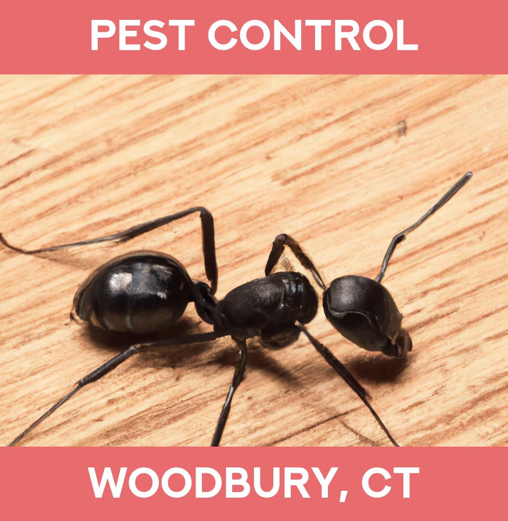 pest control in Woodbury Connecticut