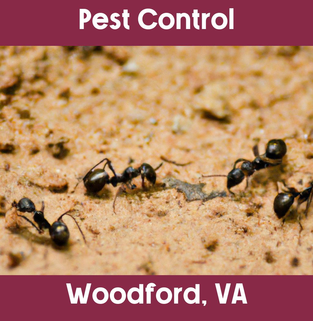 pest control in Woodford Virginia