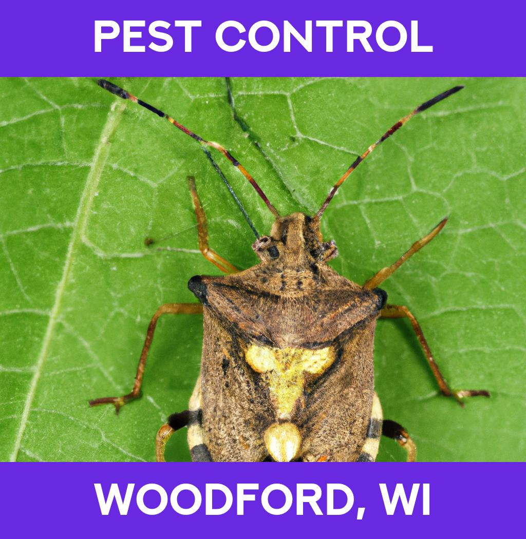 pest control in Woodford Wisconsin