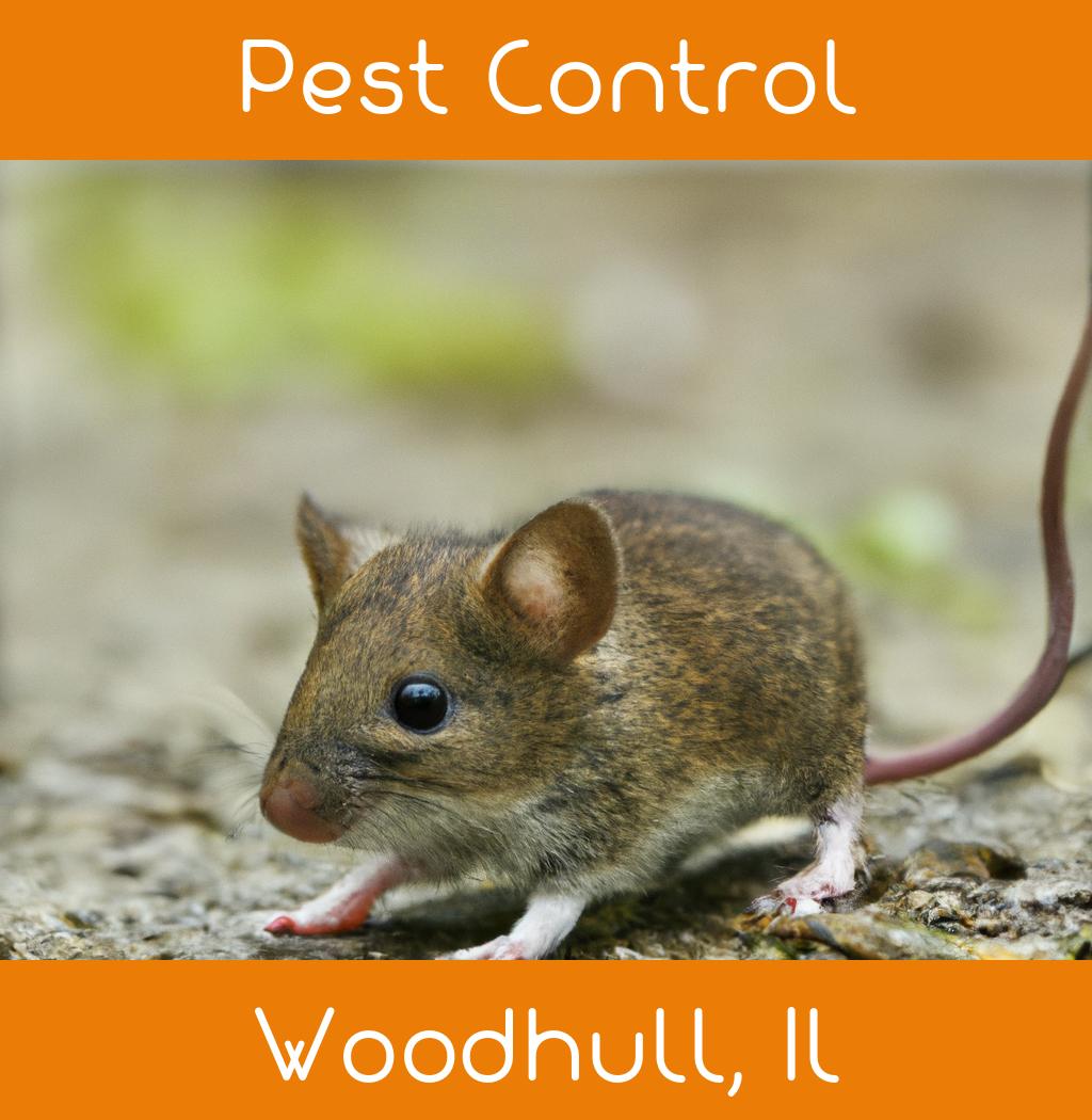 pest control in Woodhull Illinois