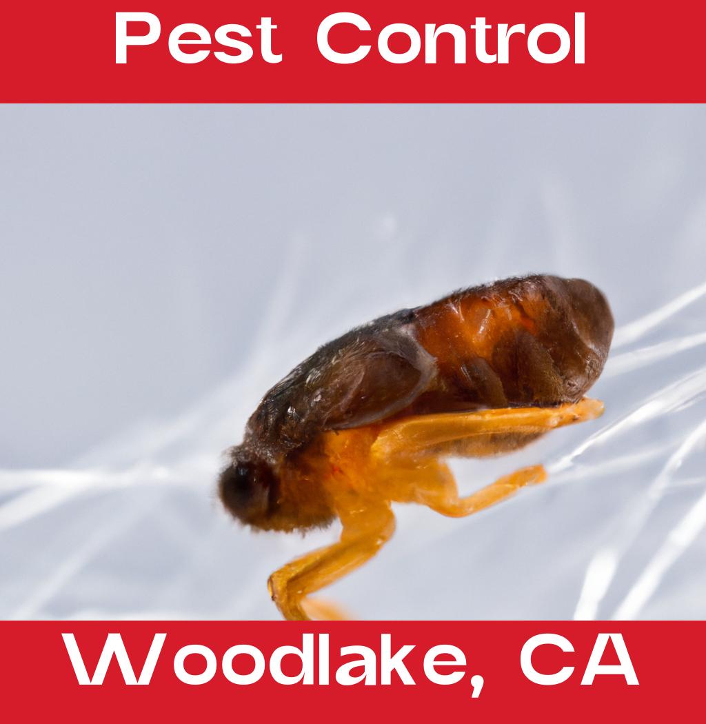 pest control in Woodlake California
