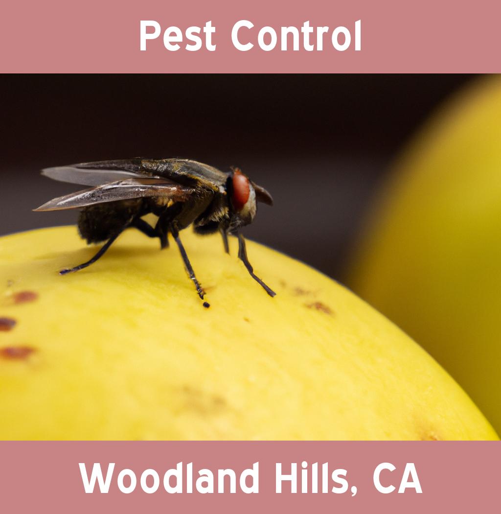 pest control in Woodland Hills California