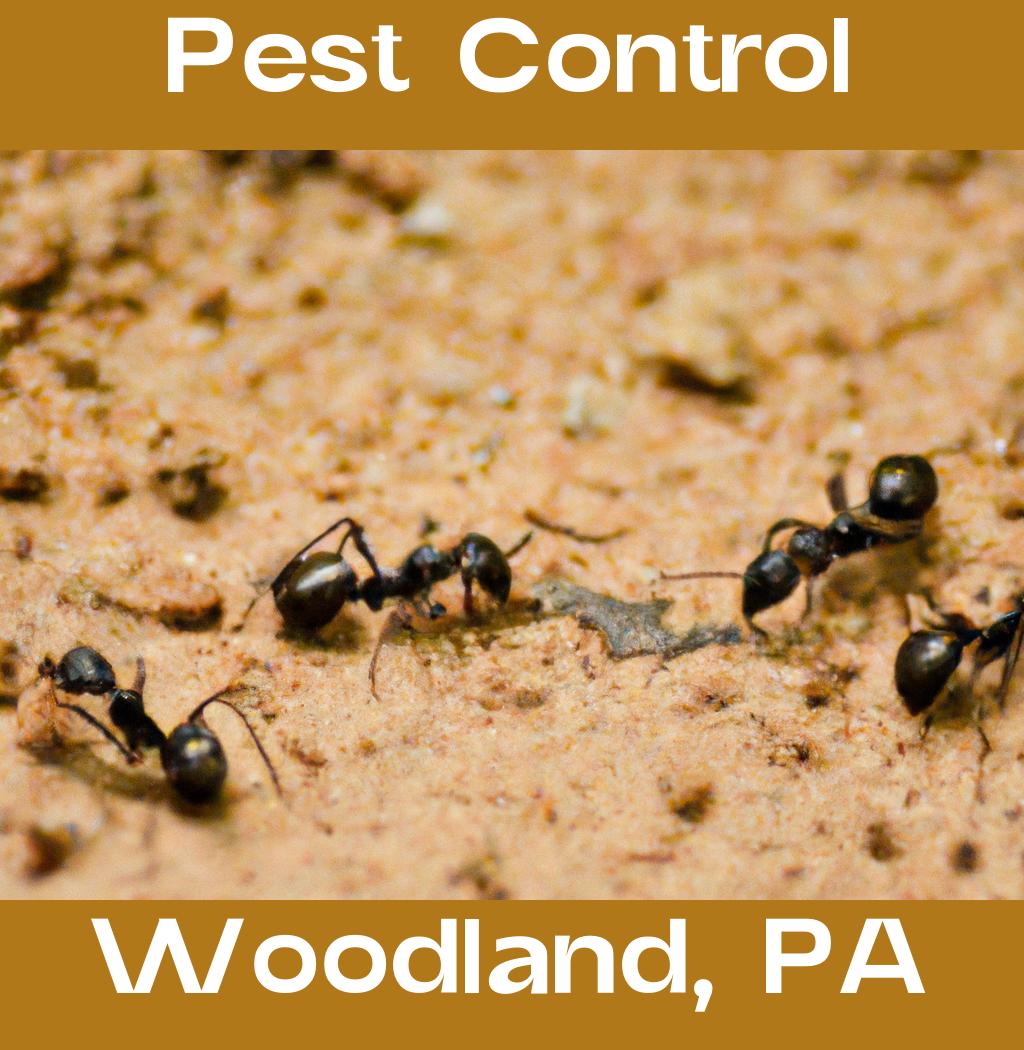 pest control in Woodland Pennsylvania