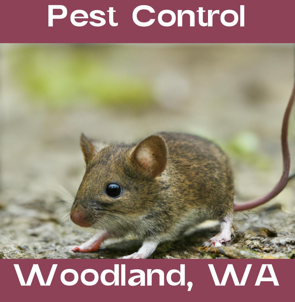 pest control in Woodland Washington