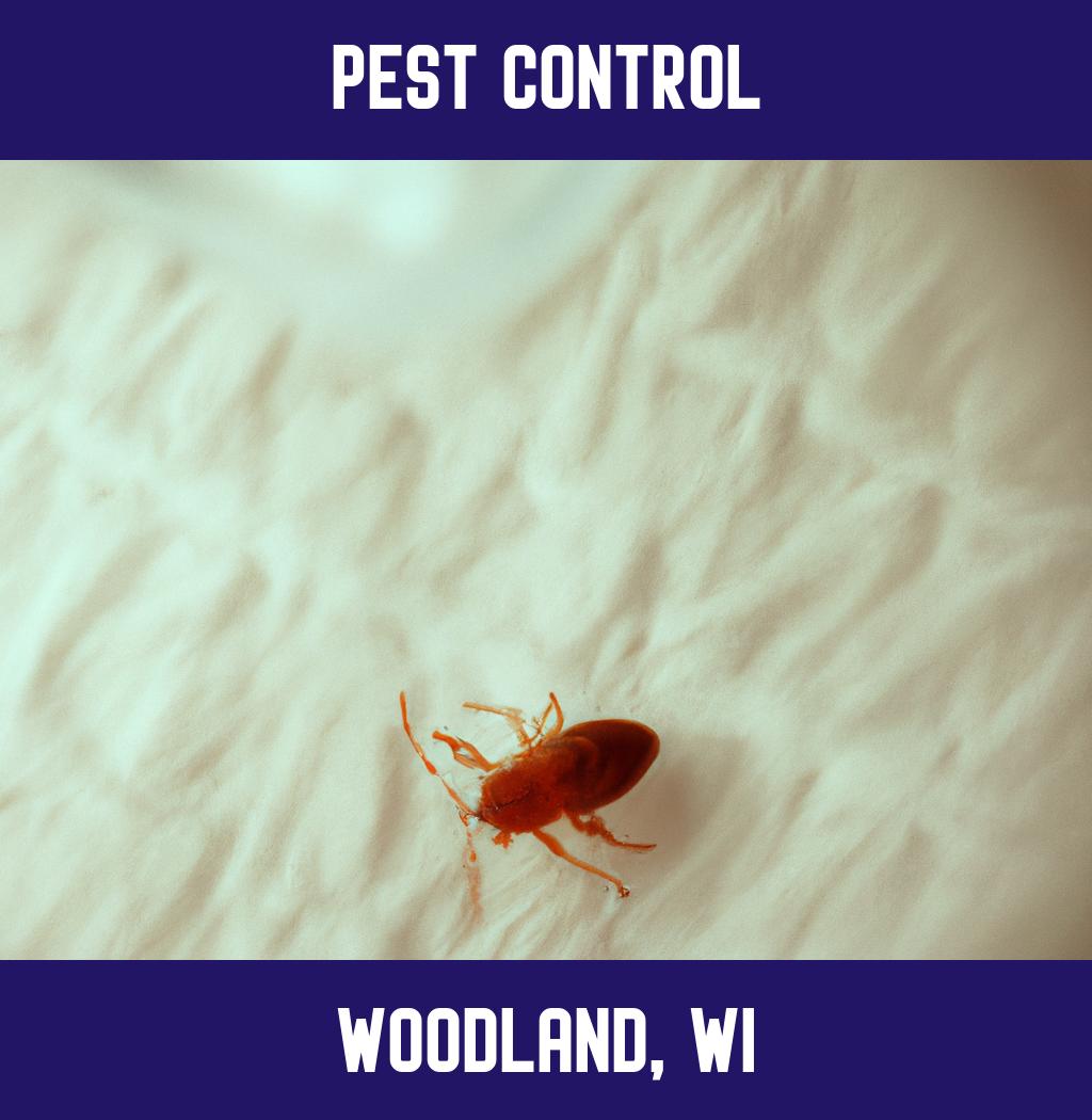 pest control in Woodland Wisconsin