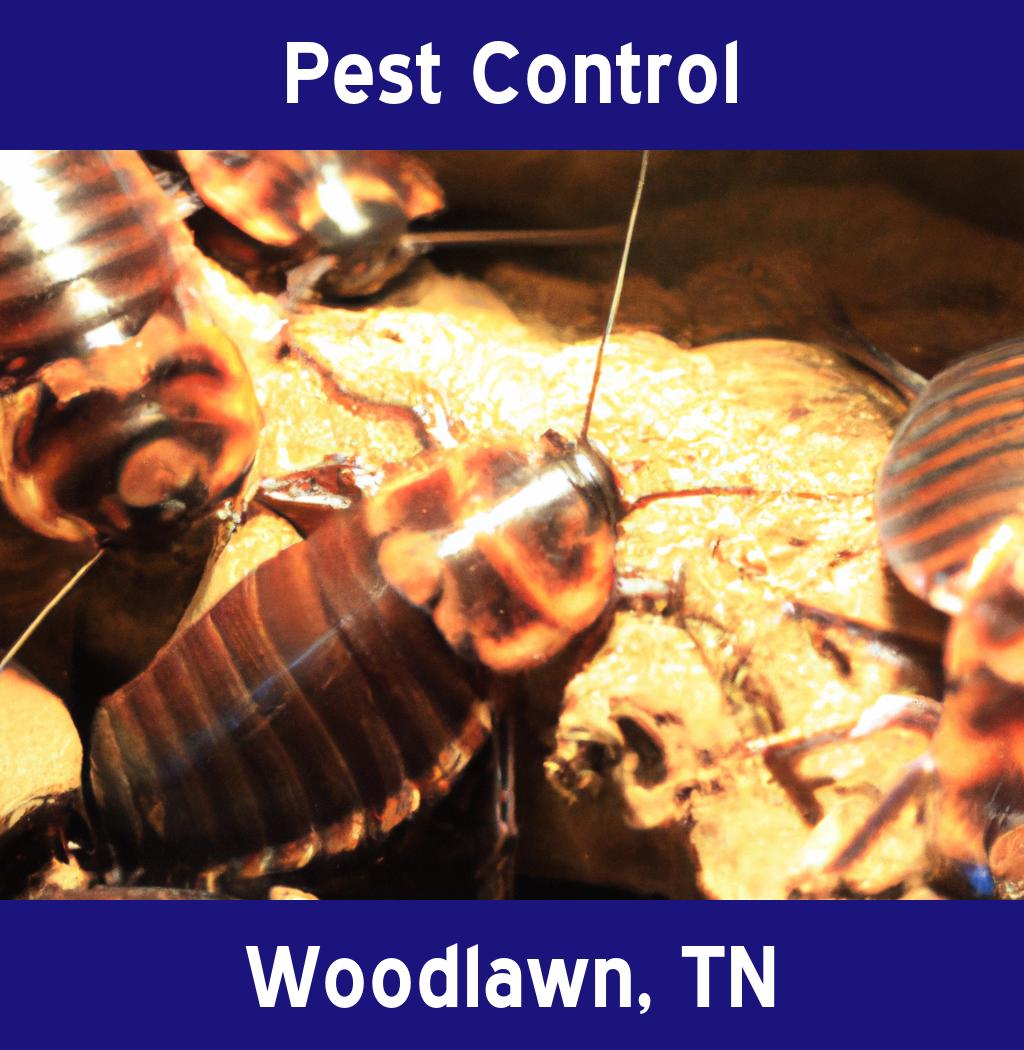 pest control in Woodlawn Tennessee