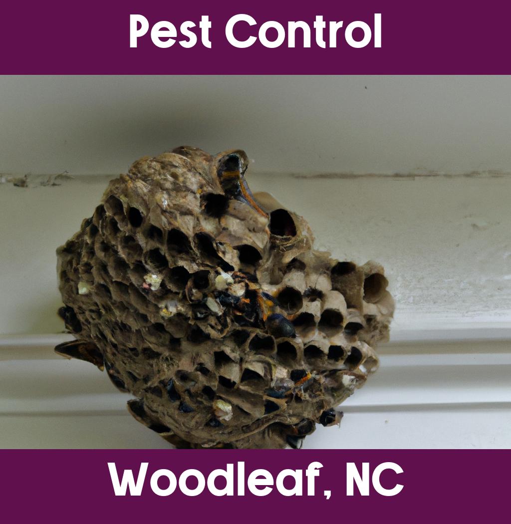 pest control in Woodleaf North Carolina