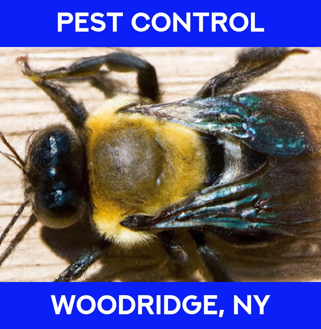 pest control in Woodridge New York
