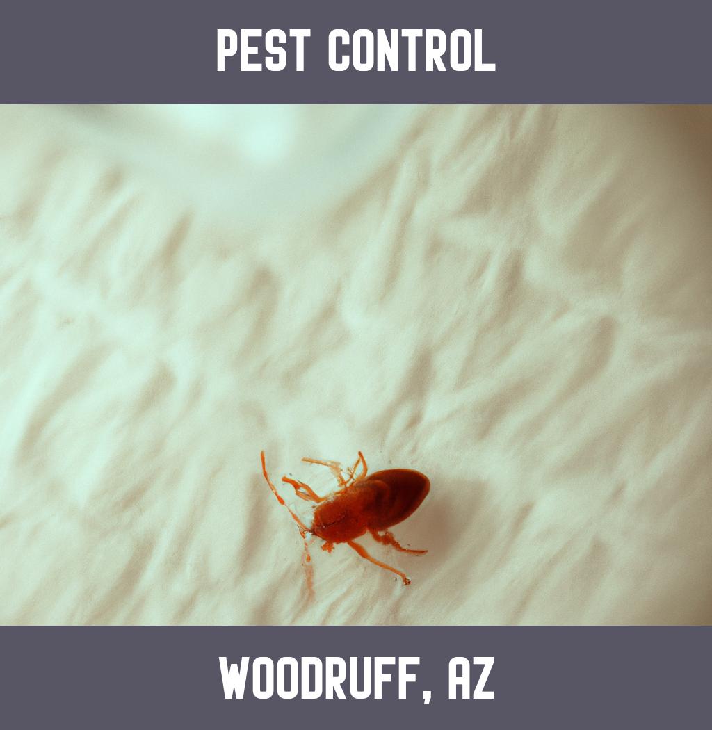 pest control in Woodruff Arizona