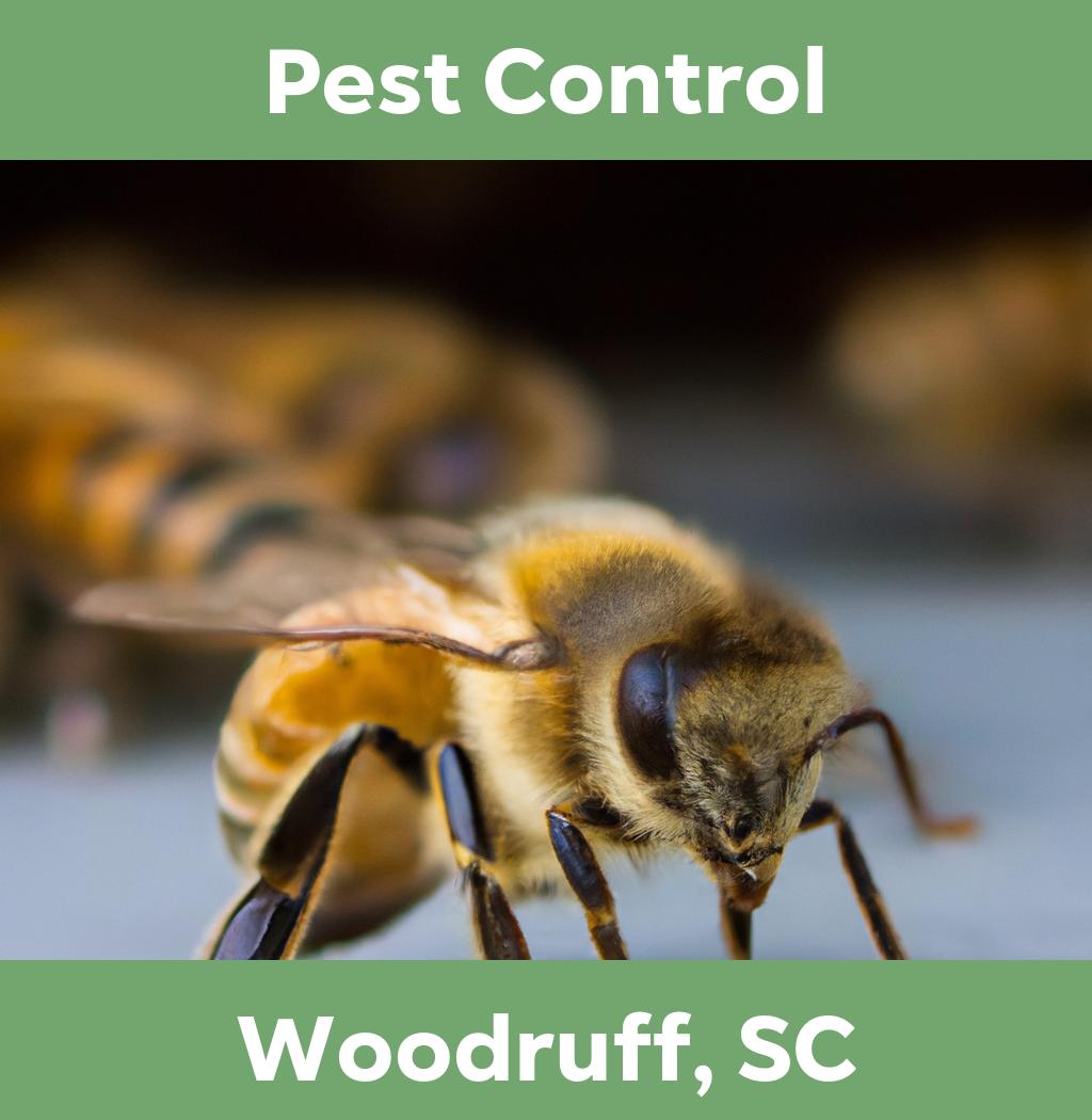 pest control in Woodruff South Carolina