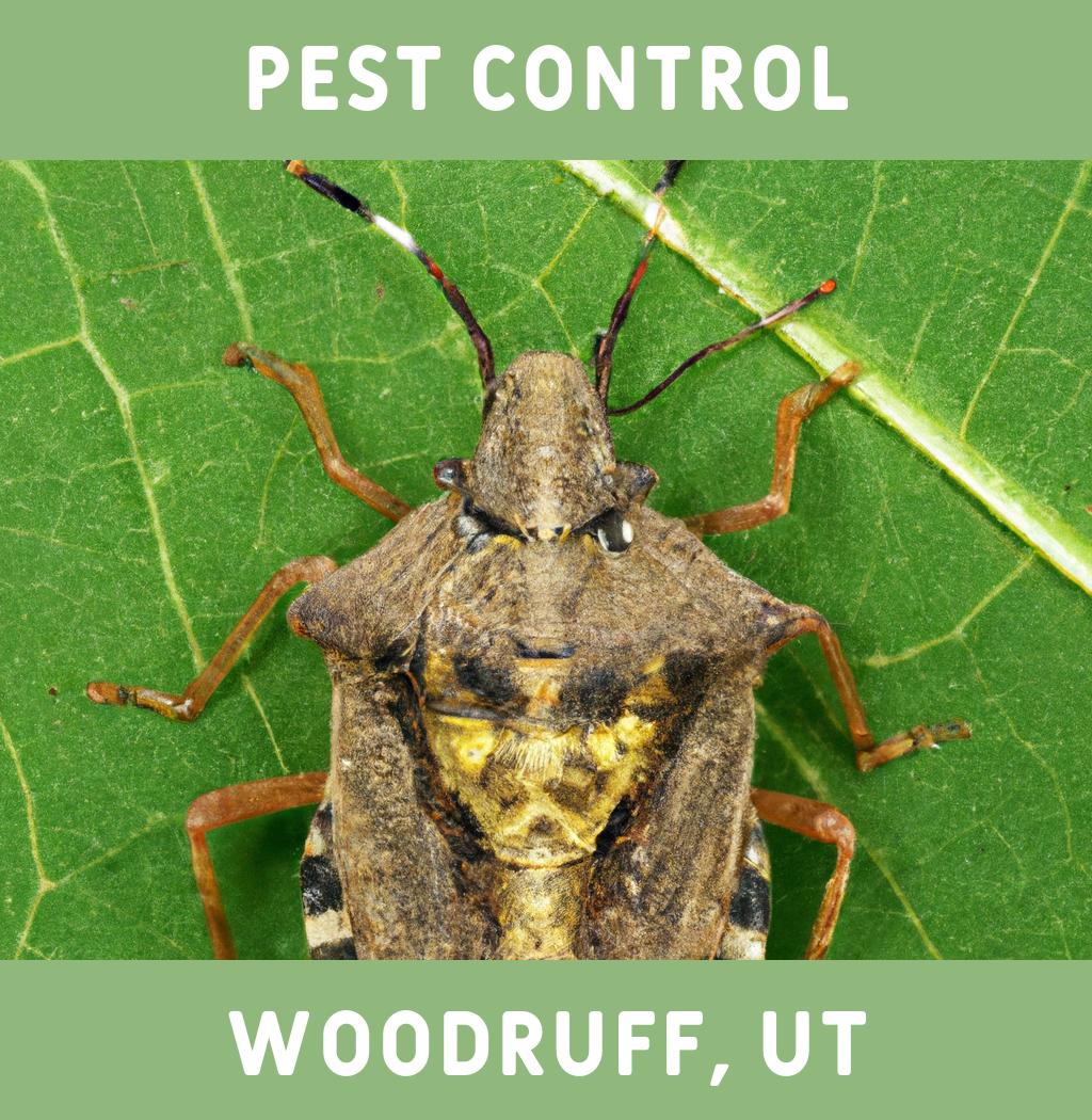 pest control in Woodruff Utah