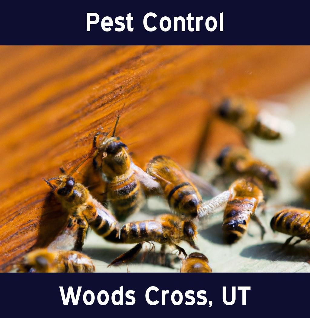 pest control in Woods Cross Utah
