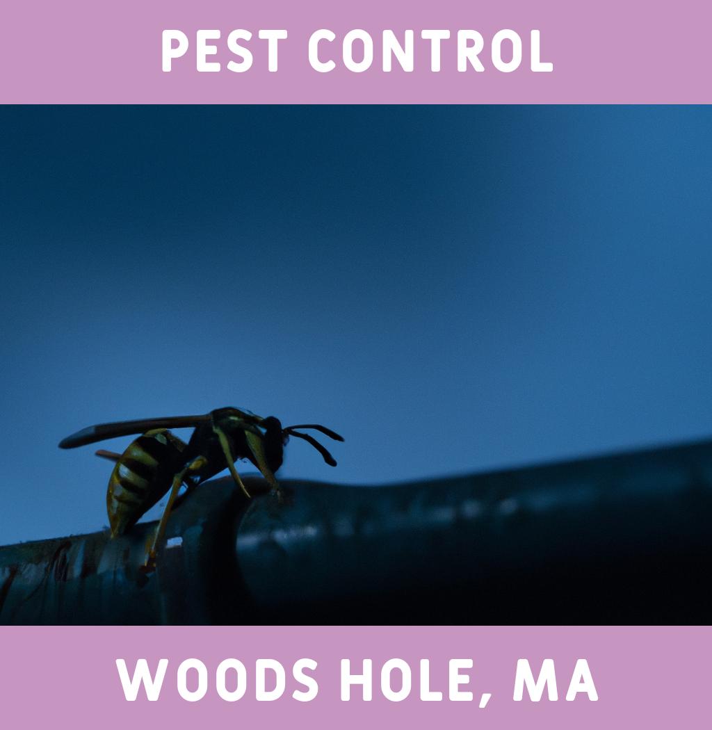 pest control in Woods Hole Massachusetts