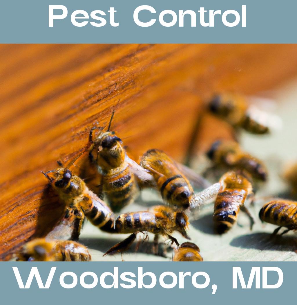 pest control in Woodsboro Maryland