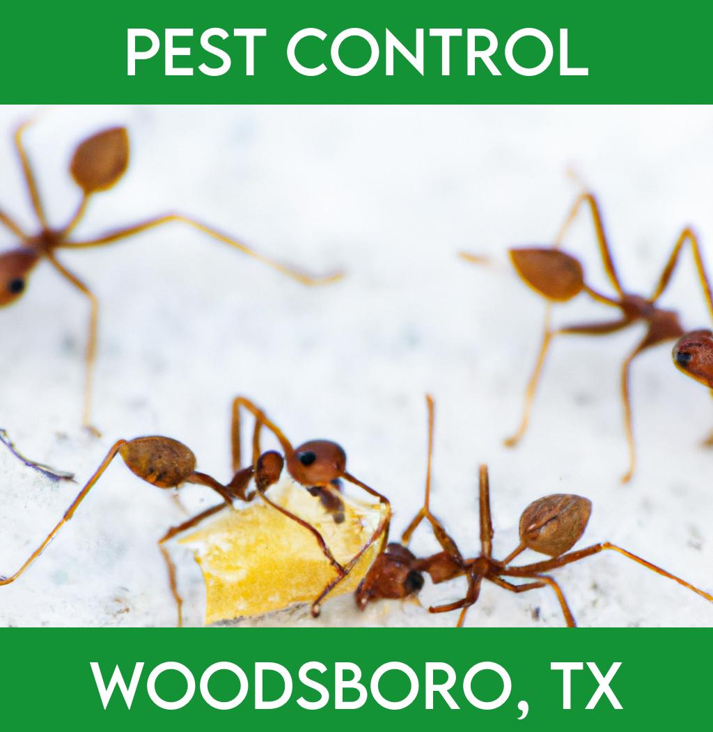 pest control in Woodsboro Texas