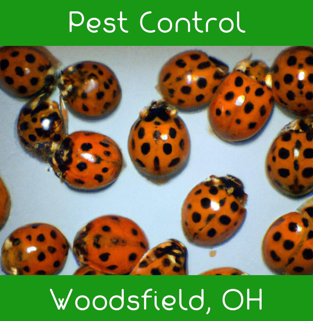 pest control in Woodsfield Ohio