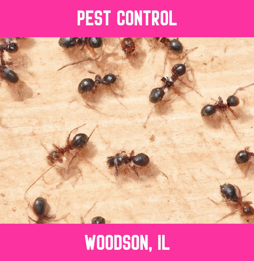 pest control in Woodson Illinois