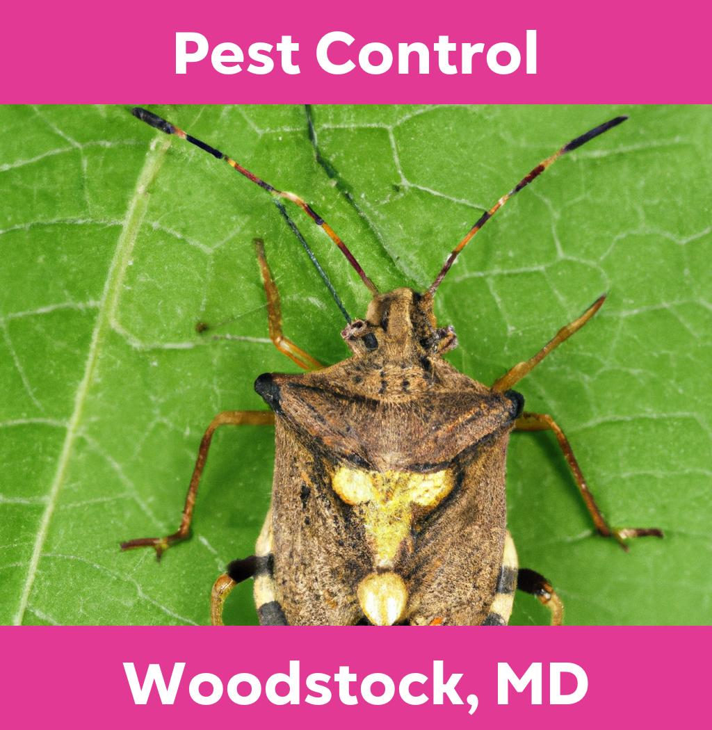 pest control in Woodstock Maryland