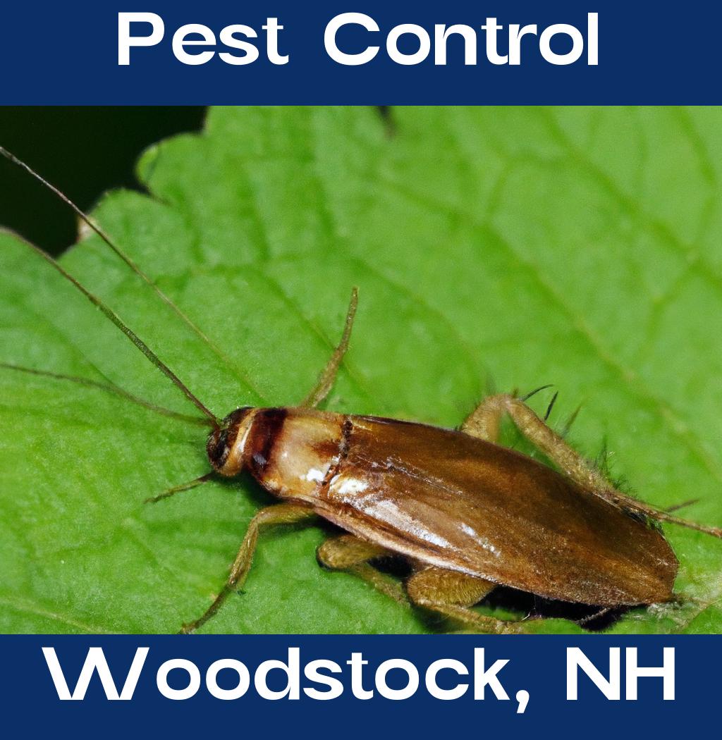 pest control in Woodstock New Hampshire