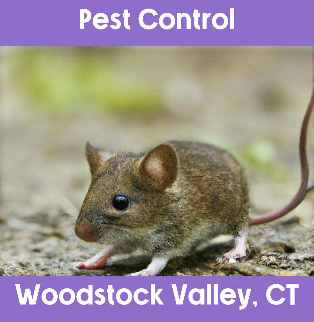 pest control in Woodstock Valley Connecticut