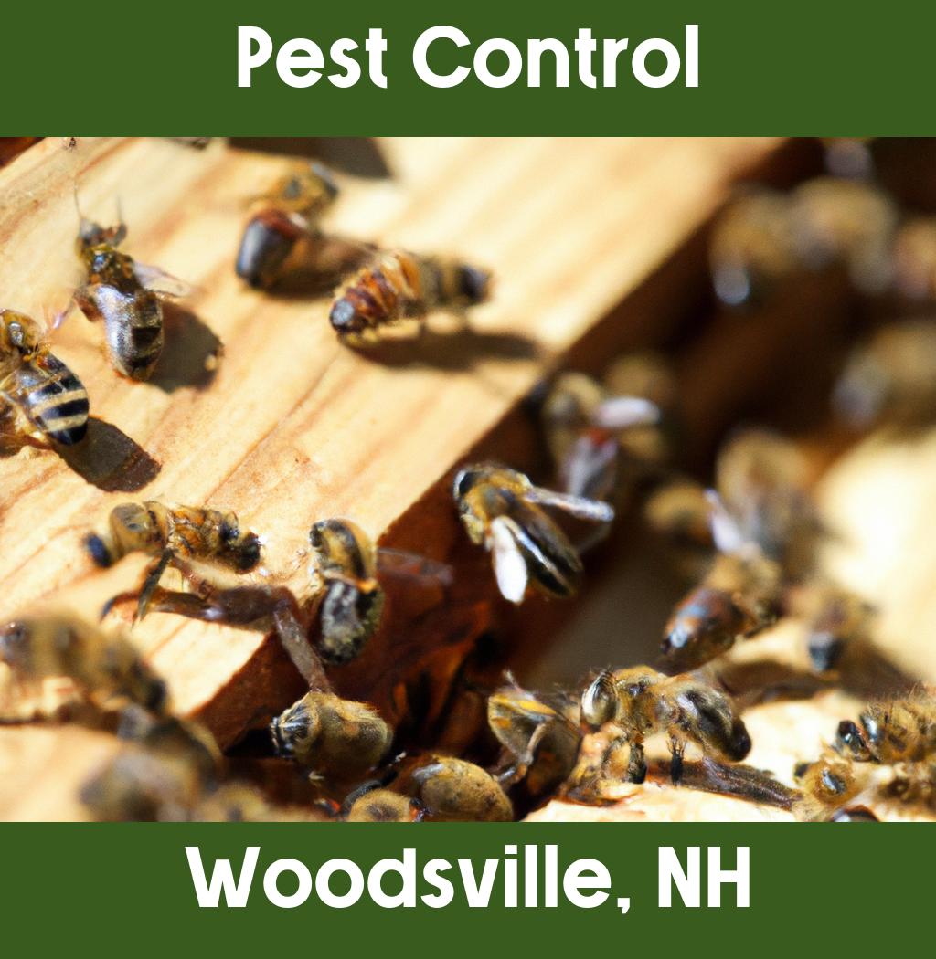 pest control in Woodsville New Hampshire