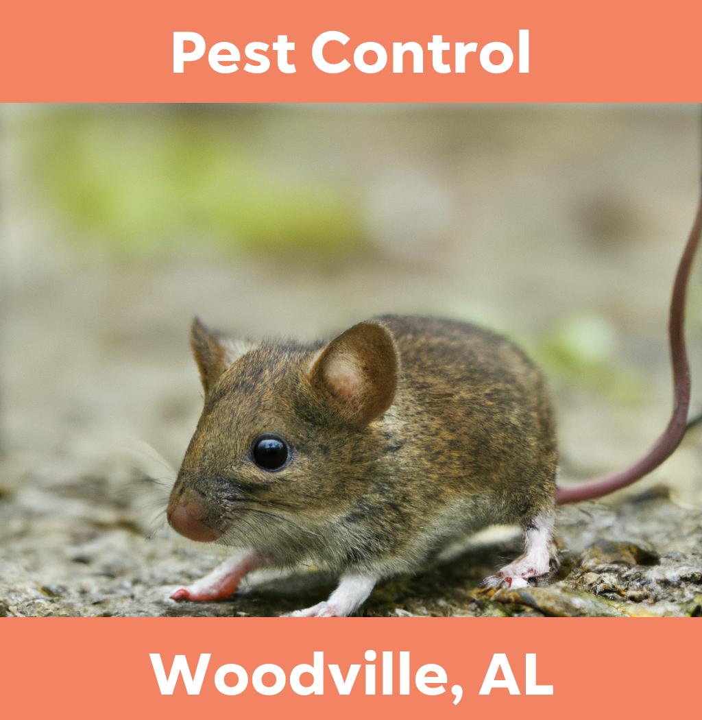 pest control in Woodville Alabama