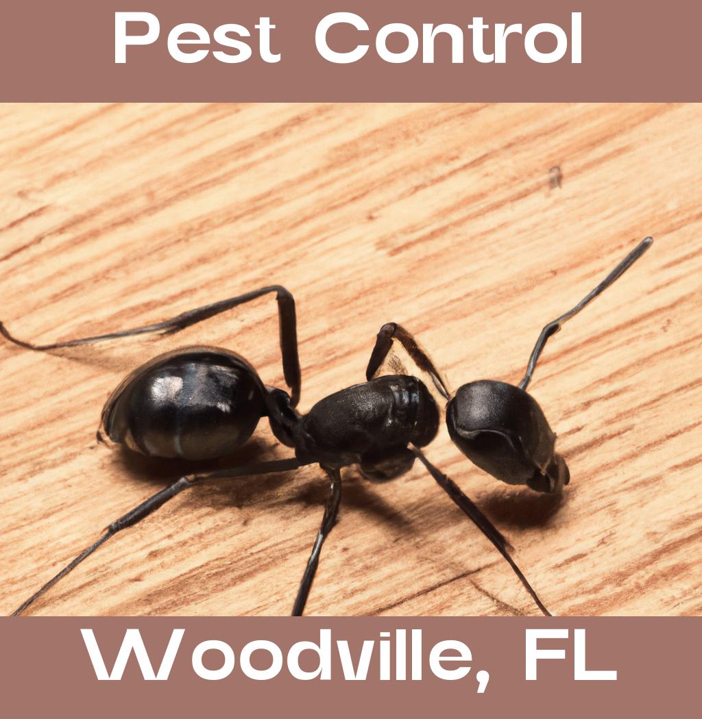 pest control in Woodville Florida
