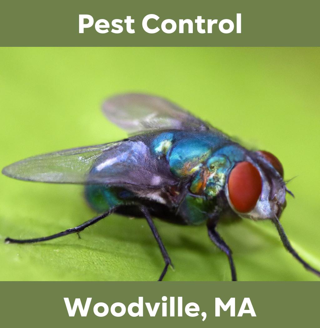pest control in Woodville Massachusetts
