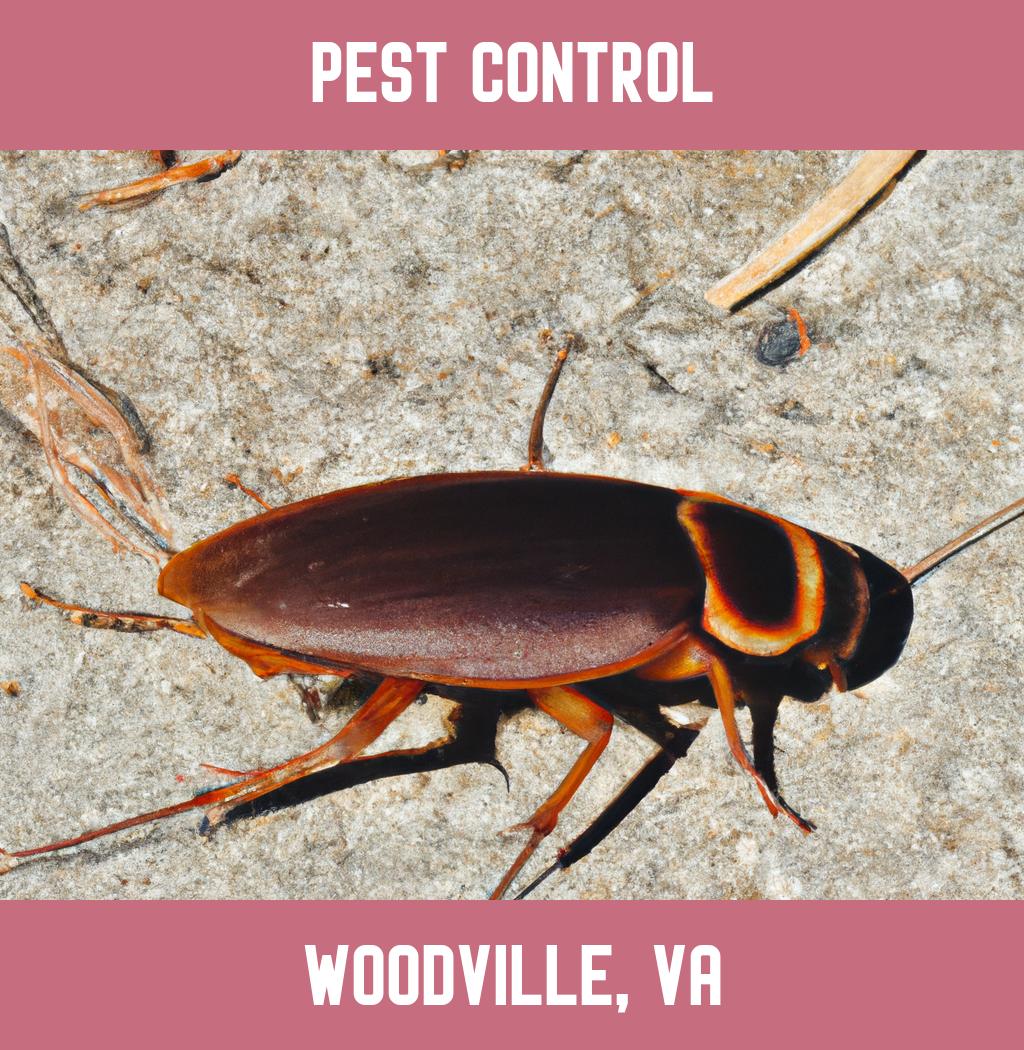 pest control in Woodville Virginia