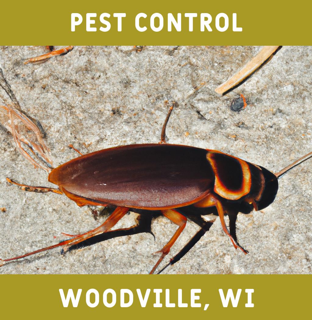 pest control in Woodville Wisconsin
