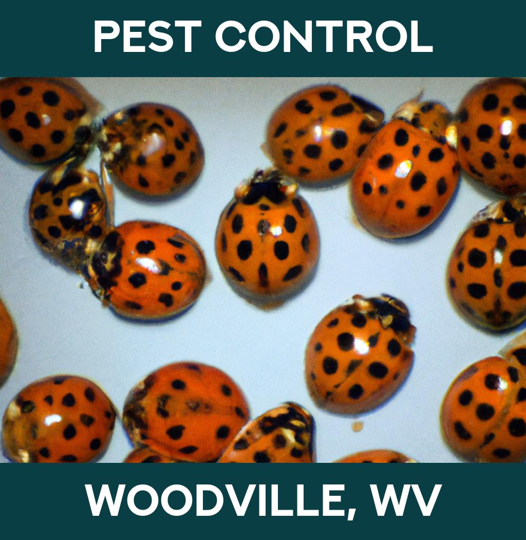 pest control in Woodville West Virginia