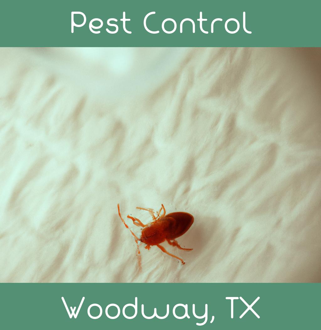 pest control in Woodway Texas