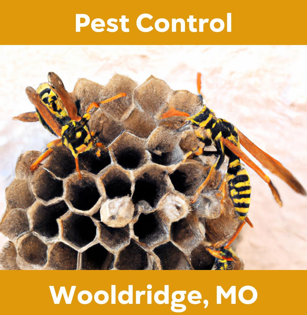 pest control in Wooldridge Missouri