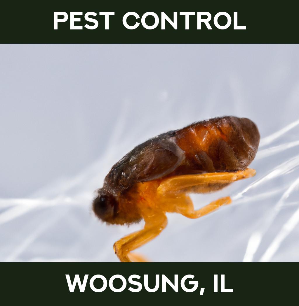 pest control in Woosung Illinois
