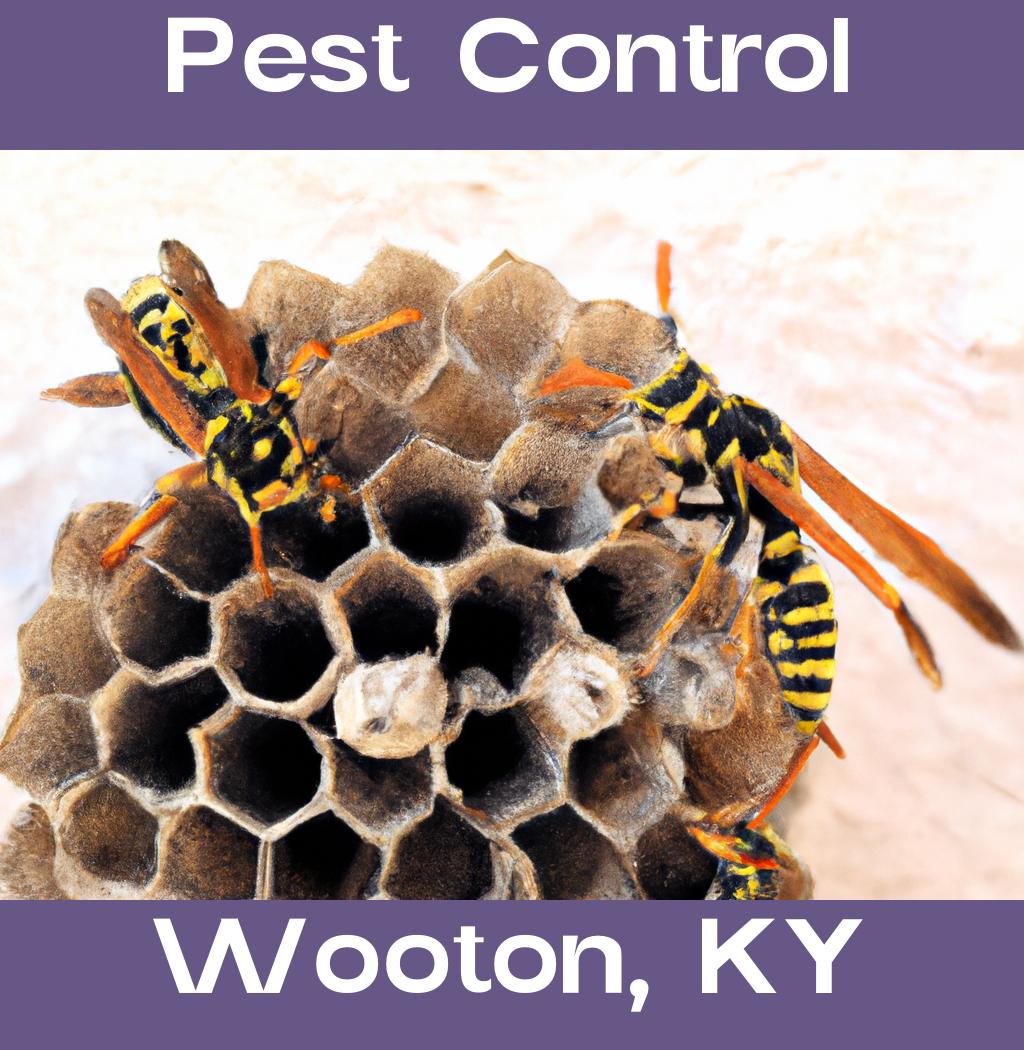 pest control in Wooton Kentucky