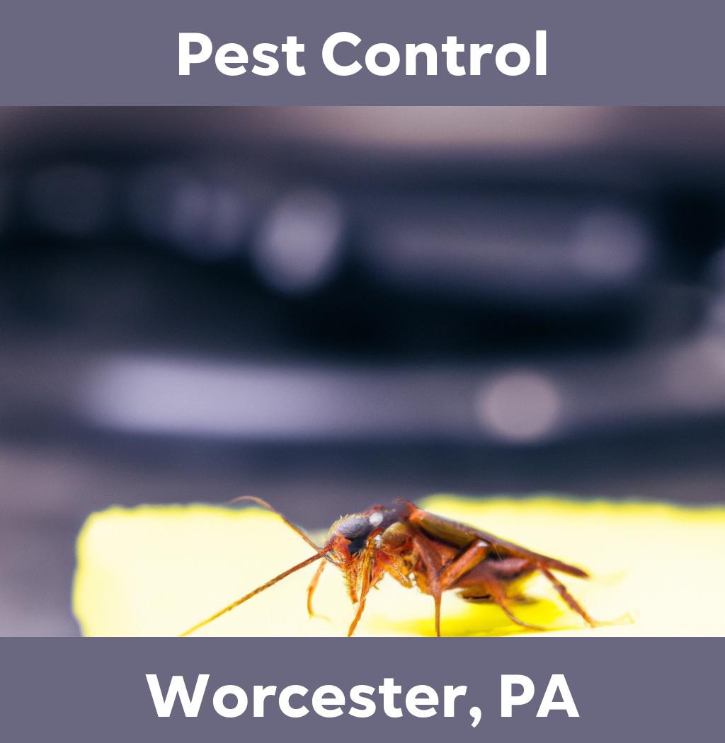 pest control in Worcester Pennsylvania