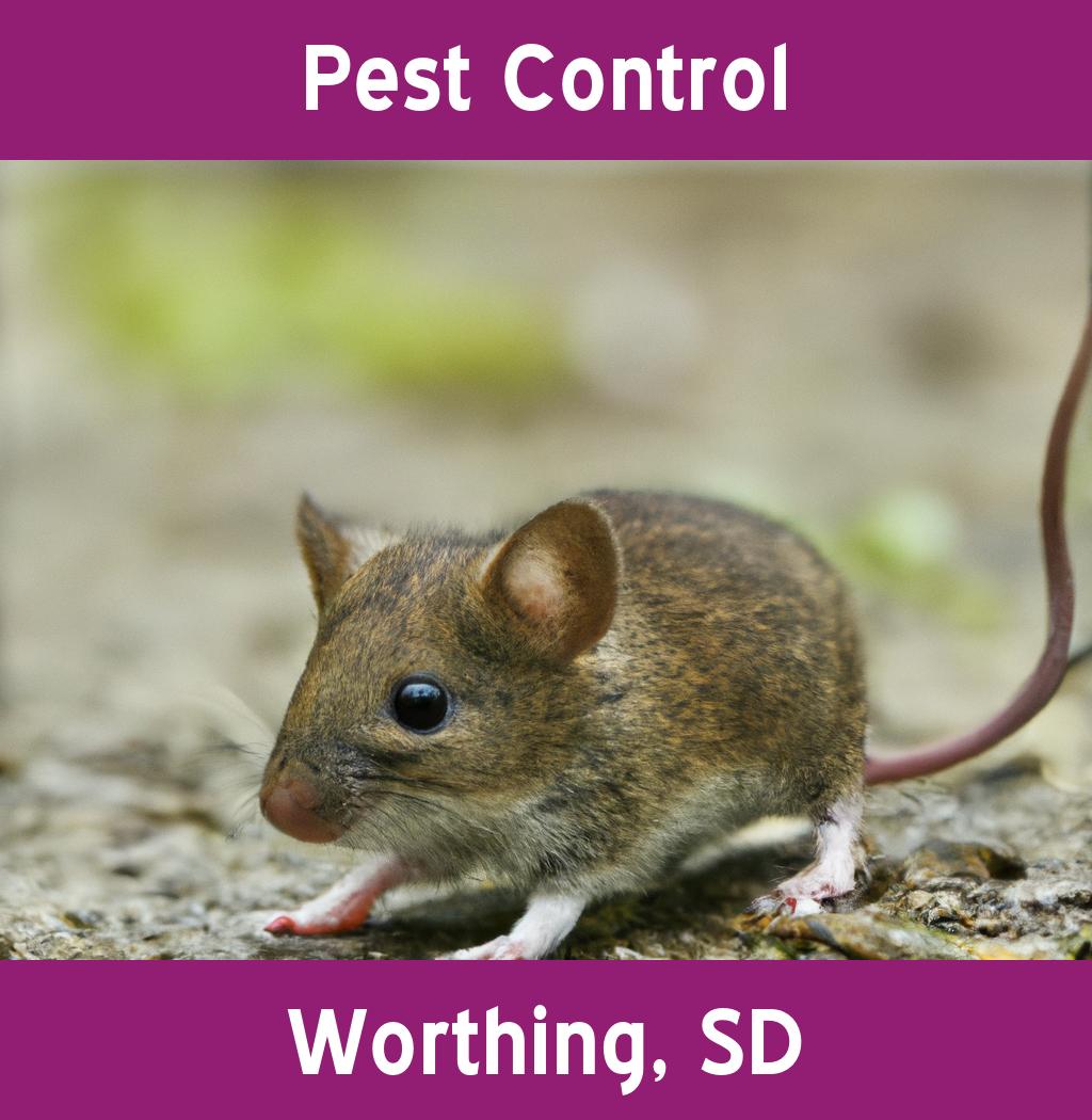 pest control in Worthing South Dakota