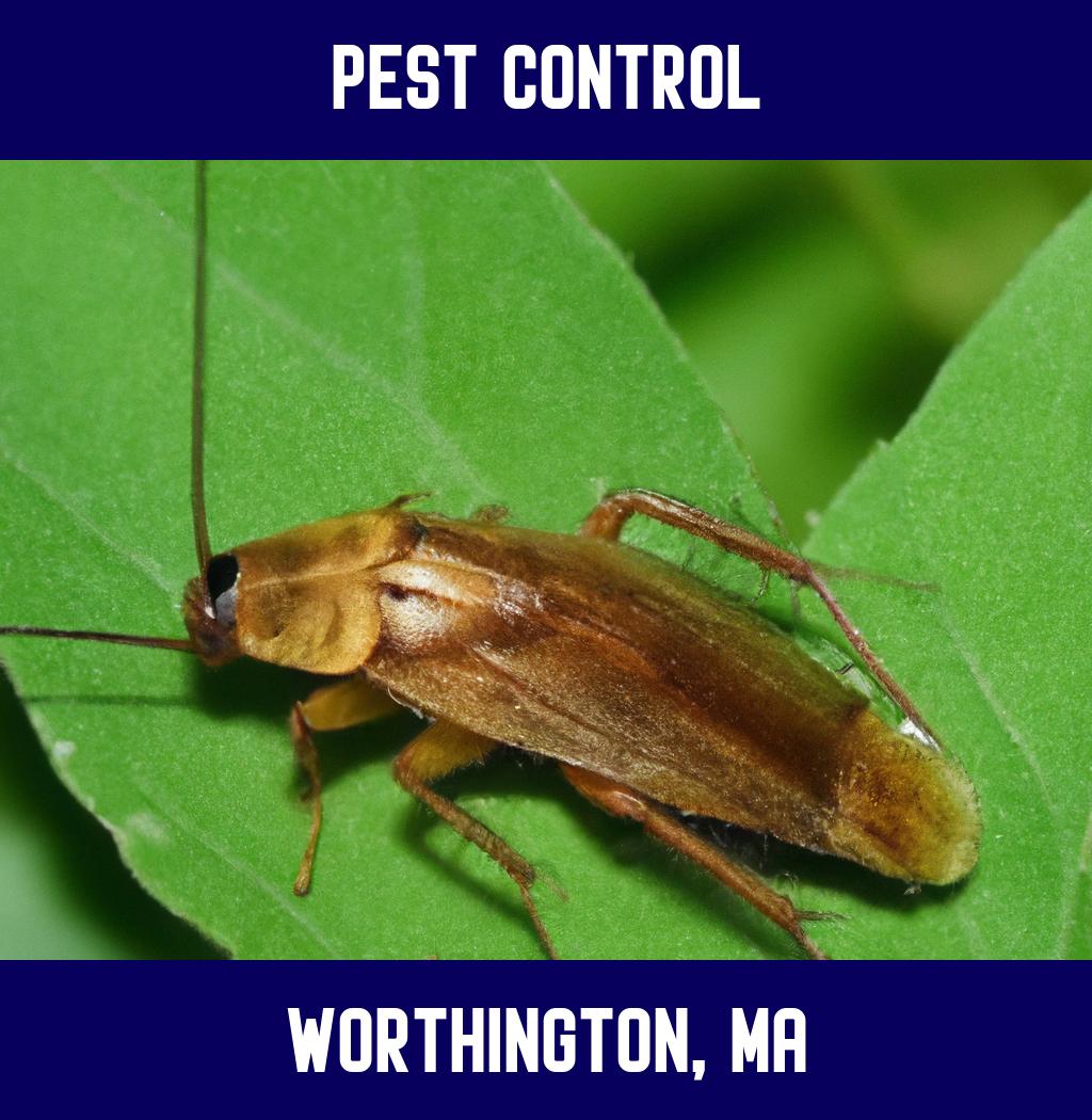 pest control in Worthington Massachusetts